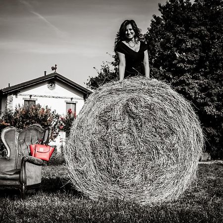 Agriturismo Parco Campofelice Lombardore Eksteriør bilde