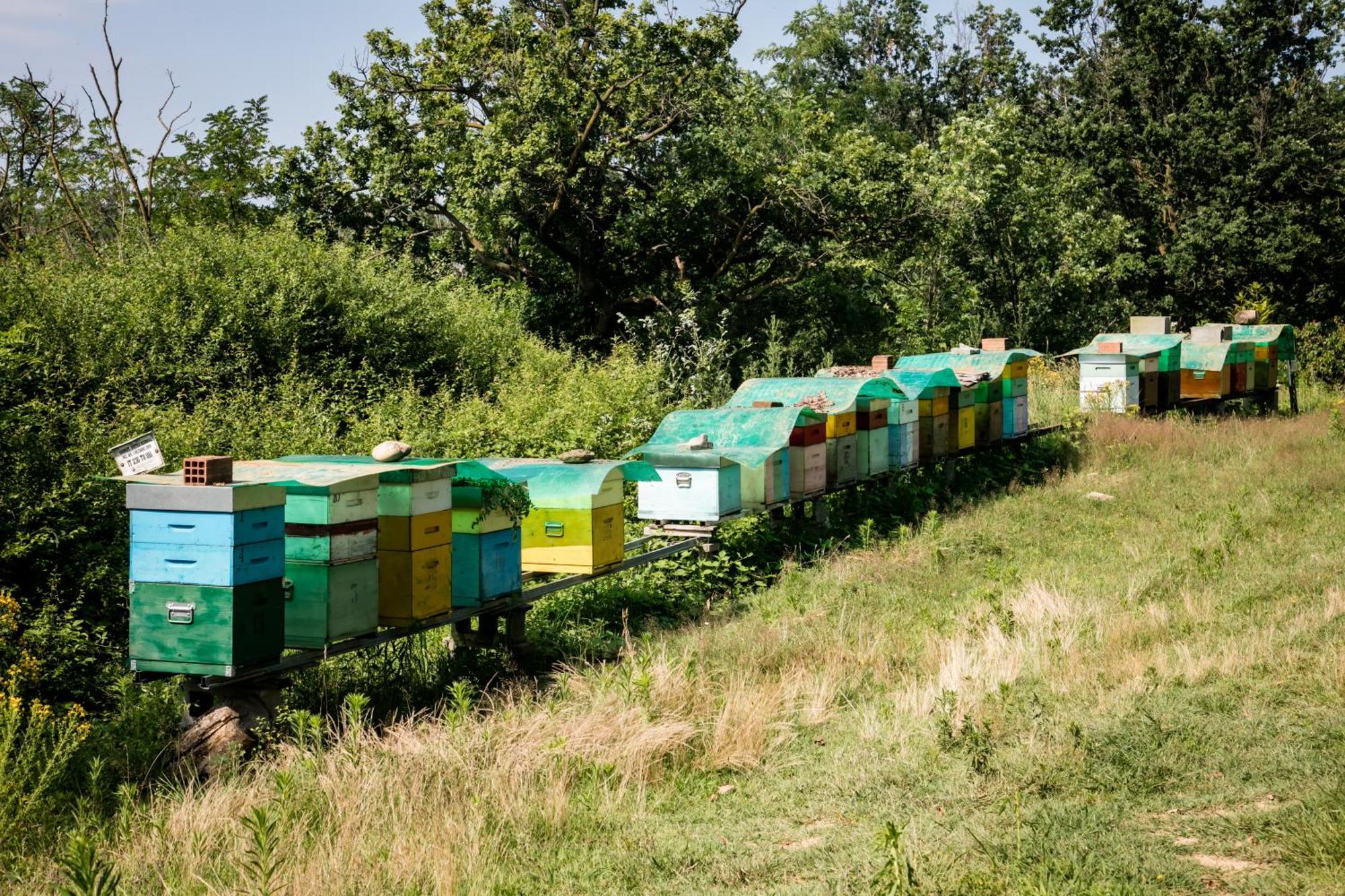 Agriturismo Parco Campofelice Lombardore Eksteriør bilde