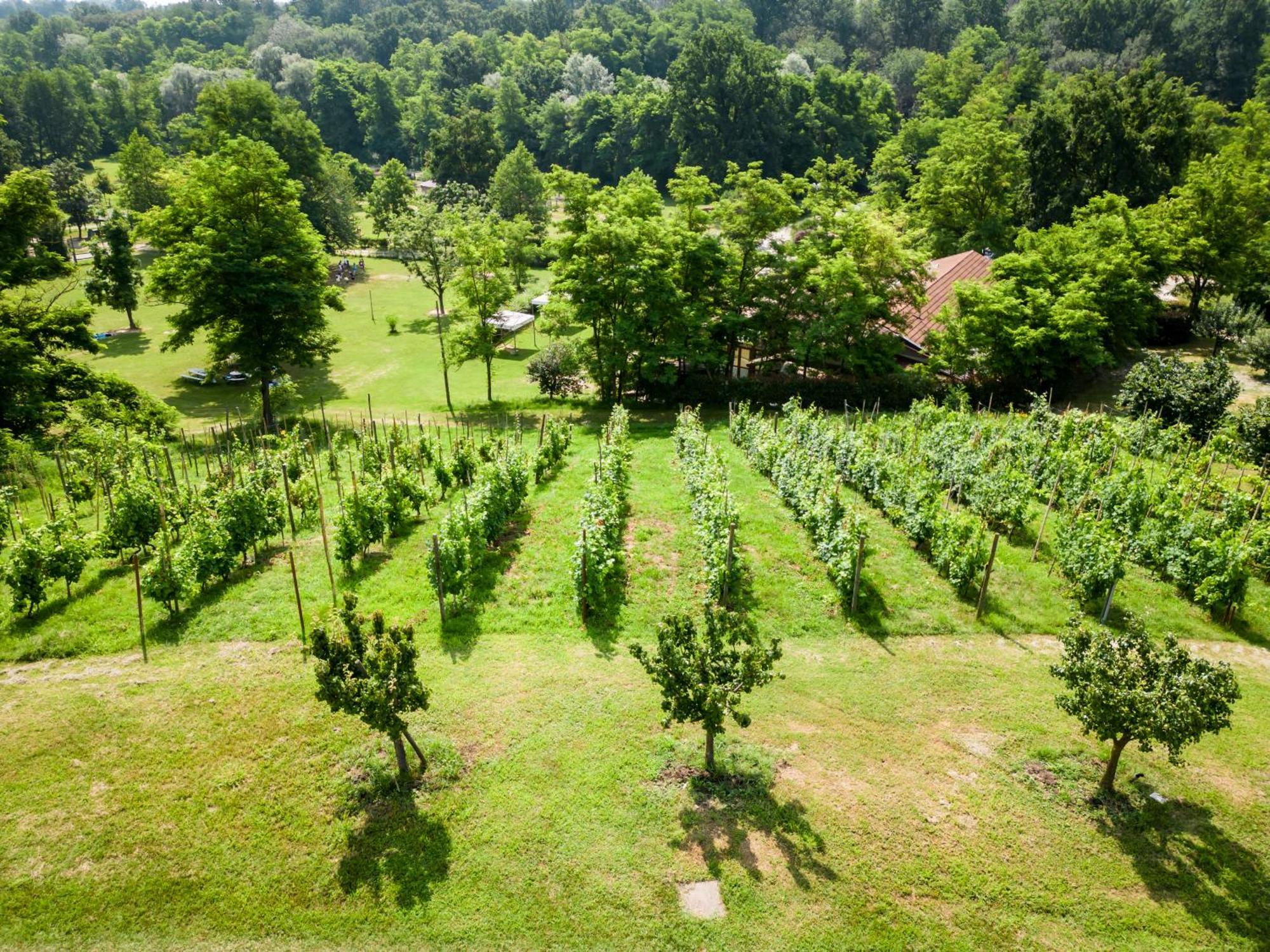 Agriturismo Parco Campofelice Lombardore Eksteriør bilde